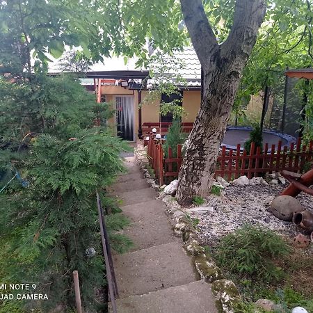 ホテル Casa Rool トゥルダ エクステリア 写真