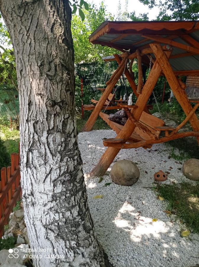 ホテル Casa Rool トゥルダ エクステリア 写真